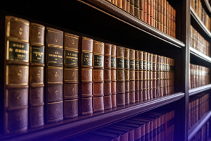 Licenciatura em Letras na Língua Portuguesa